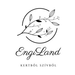 EngiLand